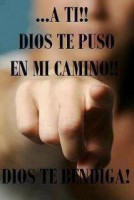 /album/fotogaleria/a383453-10150685874594158-806994157-9084536-874675651-n-jpg/