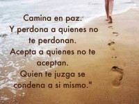 /album/fotogaleria/a1005818-1408135336068268-527720803-n-jpg/