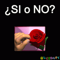 /album/fotogaleria/d2-gif/