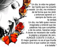 /album/fotogaleria/a972102-10200903835932920-516483783-n-jpg/