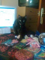 /album/fotogaleria/imagen004-jpg/