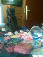 /album/fotogaleria/imagen021-jpg/